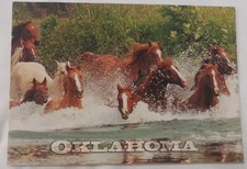 Oklahoma Is Horse Country Vintage Postcard Historic Wild West Scenery