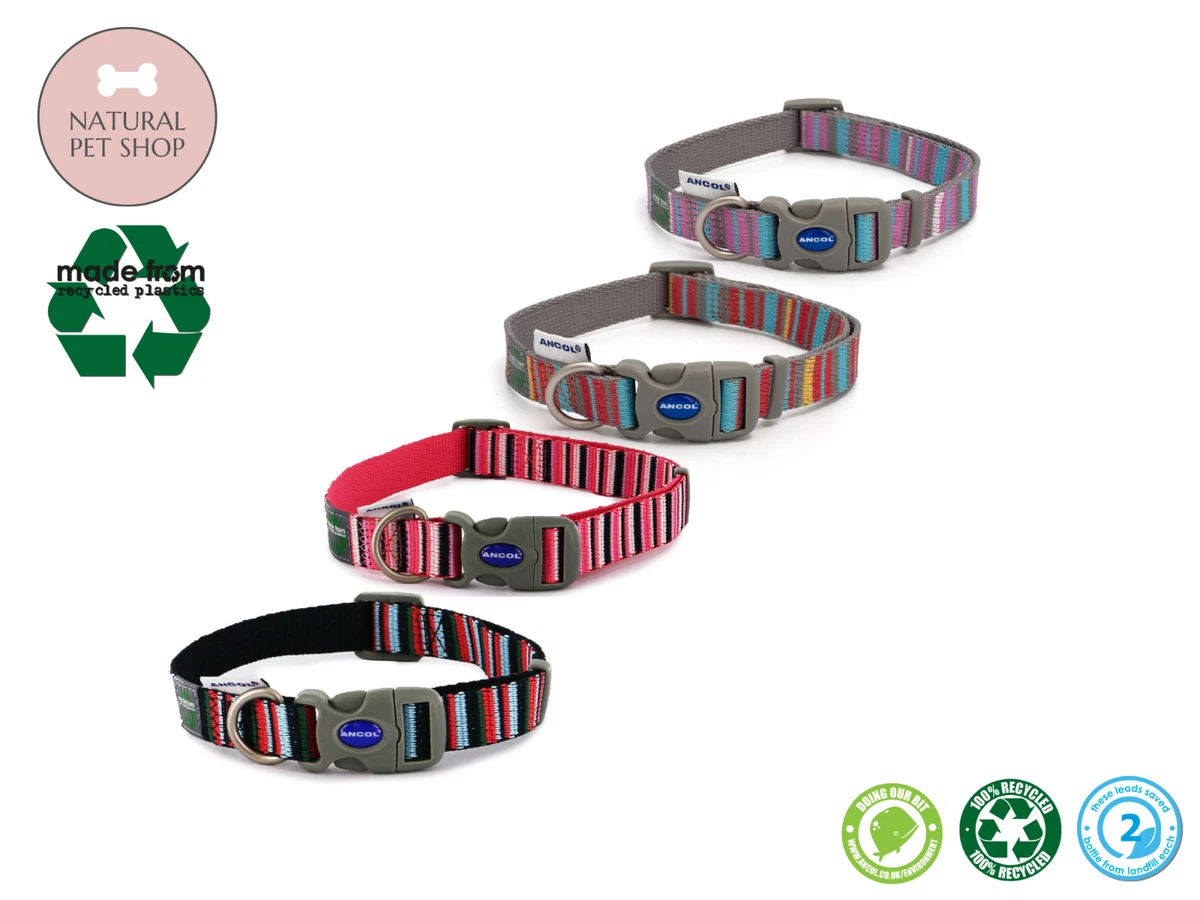 Candy Stripe Dog Collar MADE FROM Recycled Plastic Pet Walking