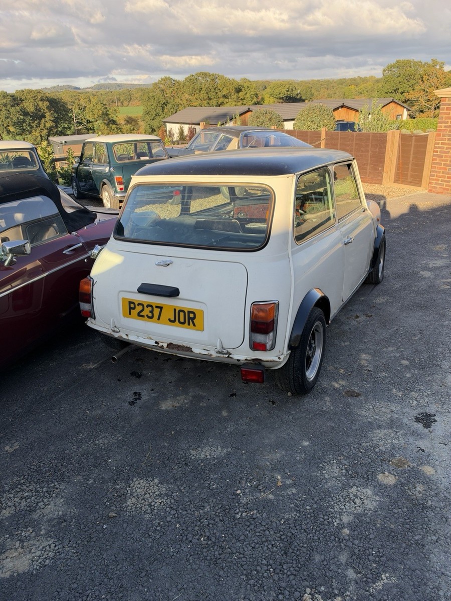 Rover Mini