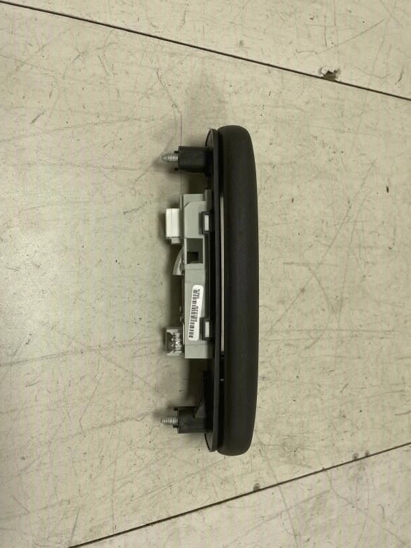 Chrysler 300 2013 trasero izquierdo lado del conductor techo mango OEM+ Foto 4 de 4