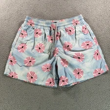 Vilebrequin Shorts Mens Large Blue Pink Sea Urchin Swim Trunks Pool Beach
