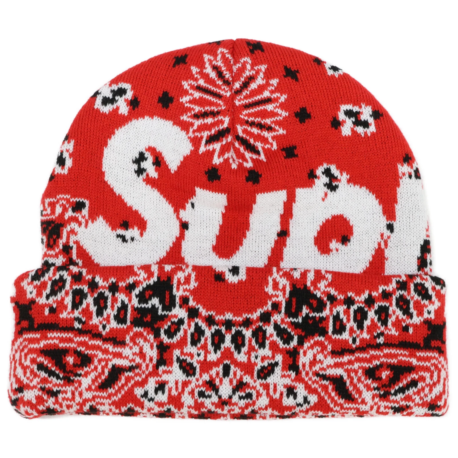 Supreme [24AW] Bandana Big Logo Beanie Big Logo beanie motif bandana beani...