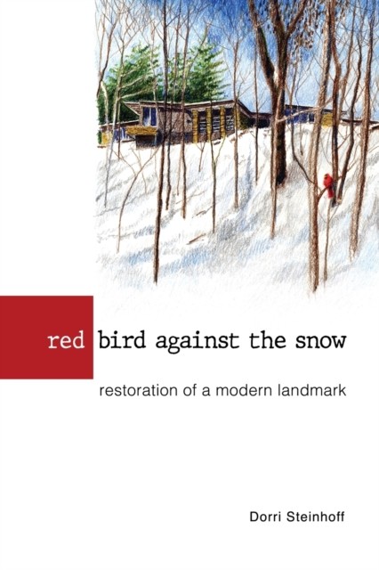Red Bird Against the Snow by Dorri Steinhoff PAPERBACK 9781950843466