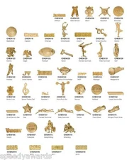 SCHOOL LETTER JACKET CHENILLE SPORT AWARD PIN  50+  STYLES  COMBINED FAST SHIP