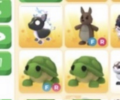 Adopt Me! FR Fly Ride Virtual Pet Game Item/Asset - Flyable, Rideable