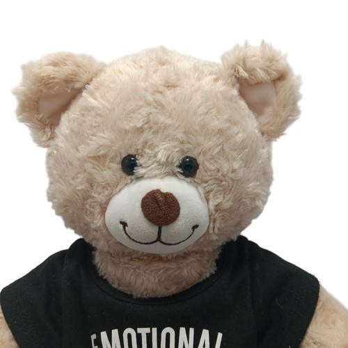Build a Bear Bär emotionale Unterstützung 17 Zoll mit Shirt Teddybär süß Plüsch Stofftier - Bild 2 von 15