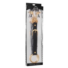 Master Series Penitentiary Nipple Clamps Cock Ring Set Gold