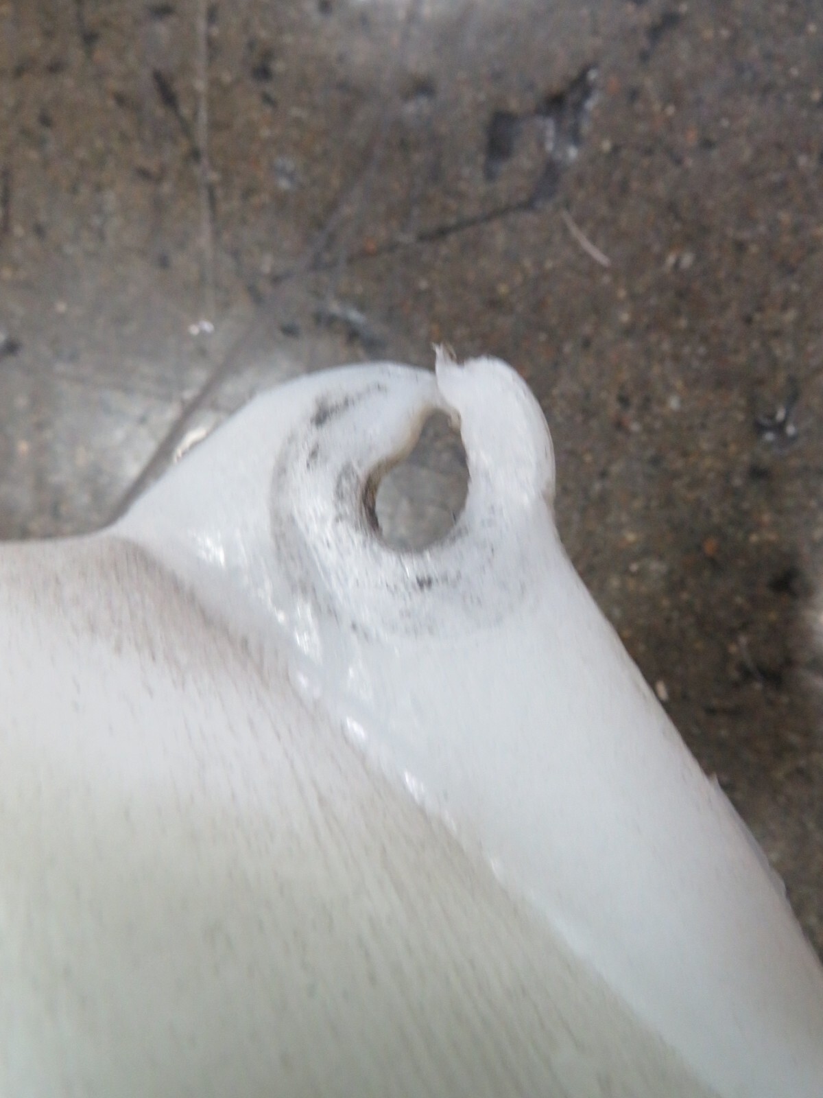 Ferrari 575, Wash Reservoir, Cracked, Used, P/N 66533600