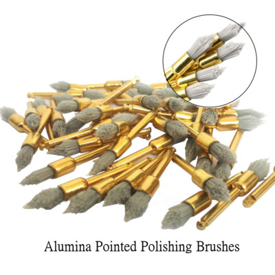 100 Pcs Dental Alumina Polishing Brushes Point Tapered Kerr Occlubrush Style