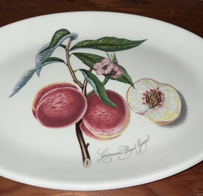 Portmeirion Botanic Garden Grimwoods Royal George Oval Steak Platter