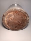 Bild 10 von 10