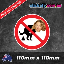 Amber Turd Sticker Funny Laptop Car Window Bumper 4x4 Ute JDM Decal