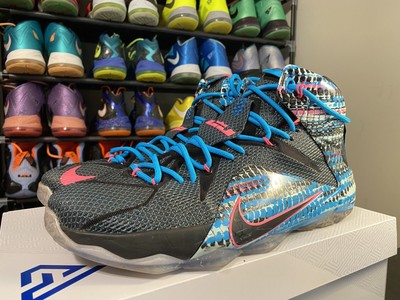 lebron 12 23 chromosomes