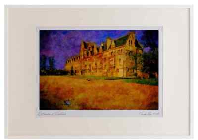 803016 Early Morning Sun Highlights Meadow, Buildings And Broad Walk, Oxford, U