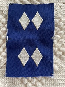 Vintage Civil Air Patrol Cloth C/LtCol
