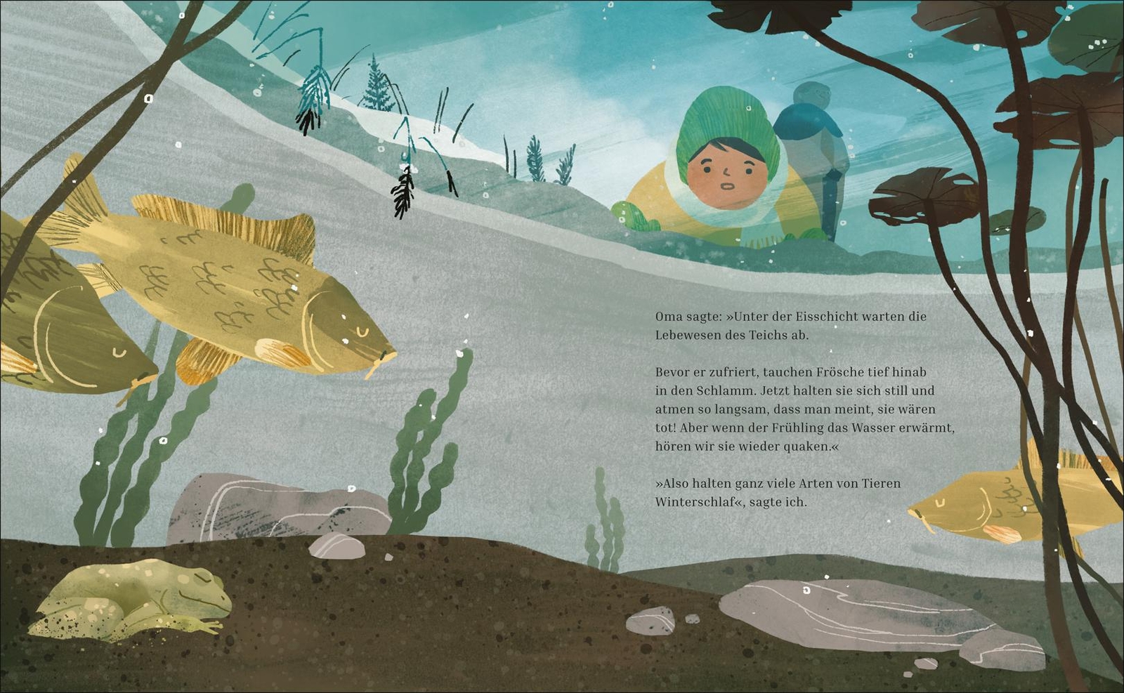 Thumbnail - Winterschlaf Alex Morss