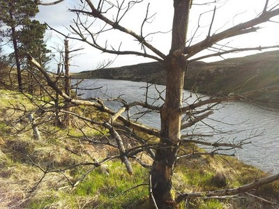 Foto A3 Lough Belsrah aus der Nähe des Windparks Kilchreest c2015 gesehen