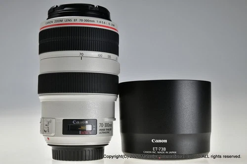 * Near Mint * Canon EF 70-300mm f/4-5.6 L IS USM