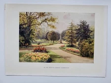 Old Vintage Colour Print Beautiful Homeland 1920 Jephson Gardens Leamington