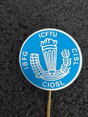 ICFTU - International Confederation of Free Trade Union  Pin/Anstecknadel 21256