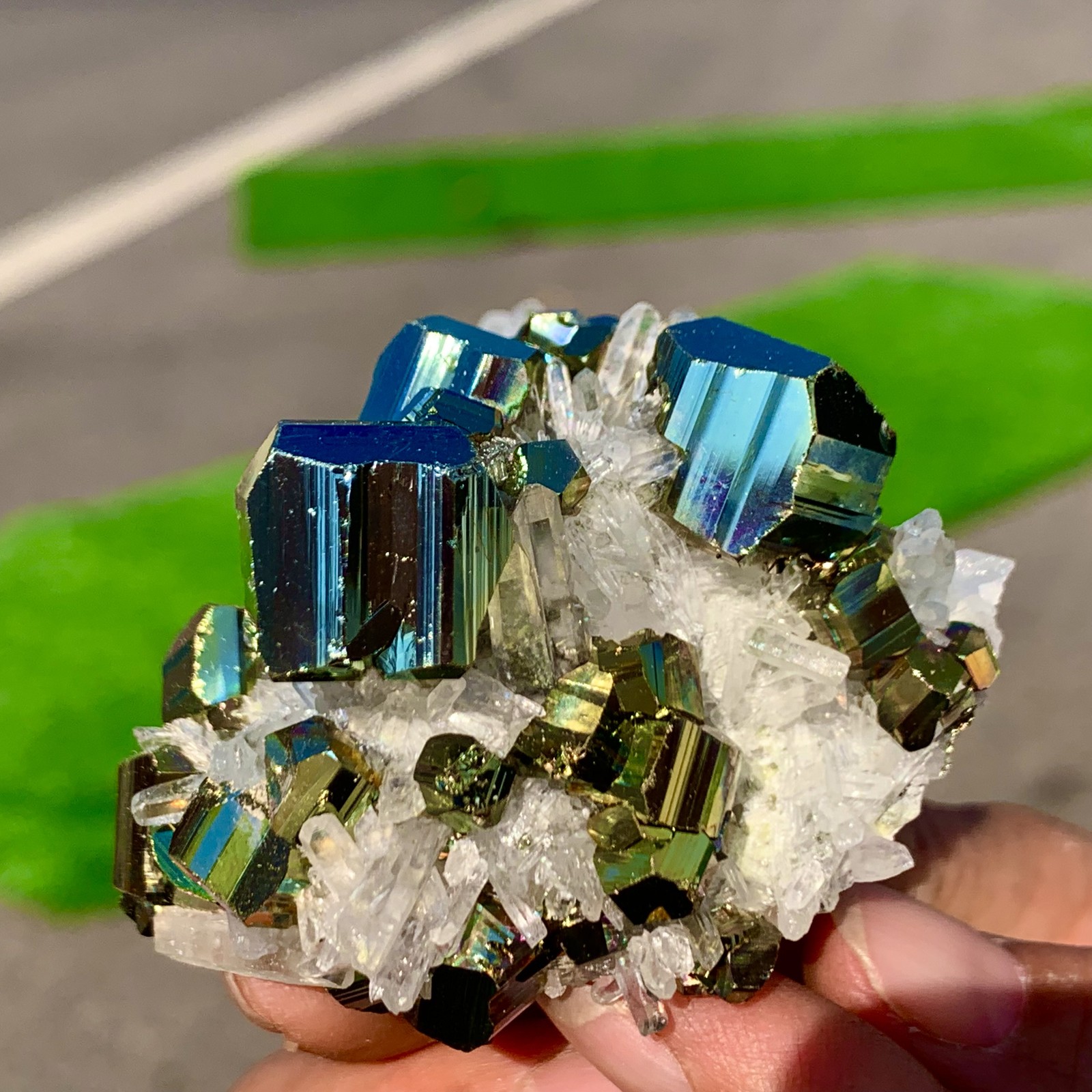 133G Natural colorful chalcopyrite clear Cluster coexisting crystal mineral