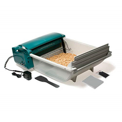 scoop litter box