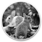 2 x Vinyl Stickers 30cm (bw) - Cute Grey Bunny Rabbits Animals Pets  #40968