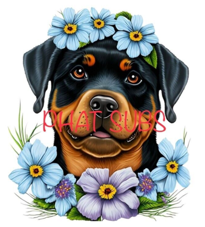 Sublimation Print Rottweiler Flower Head Ready to Press Heat Transfer ...