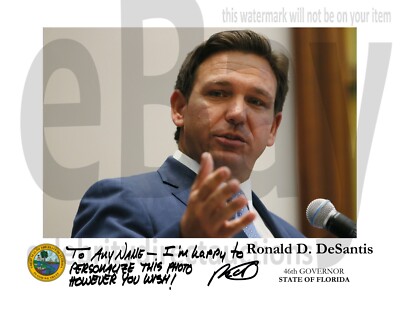 Governor Ron DeSantis official portrait