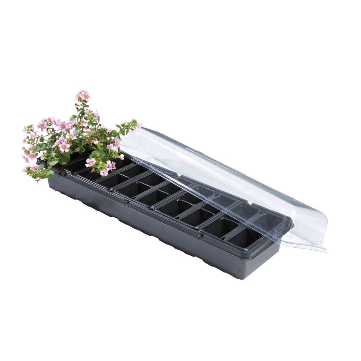 Garland Windowsill Greenhouse Propagator Seed Module Tray Seedling Plant Garden