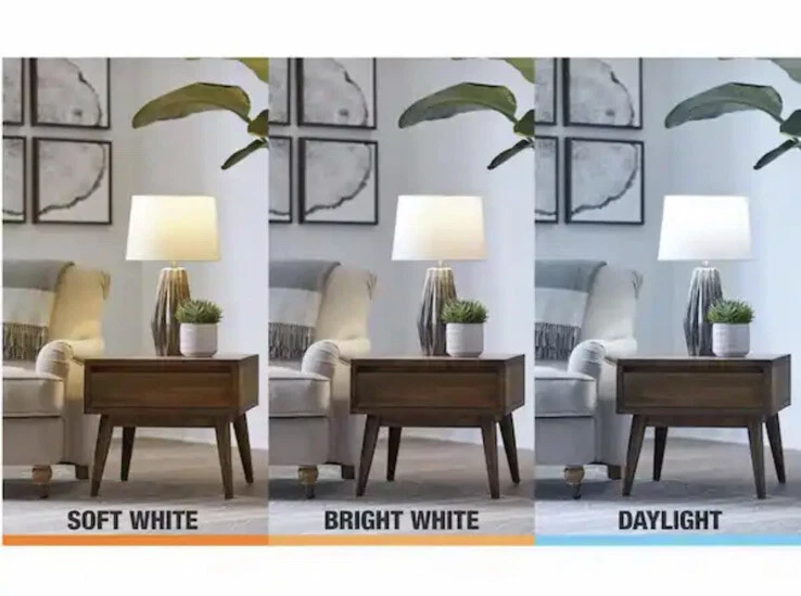 Soft white daylight bright white deals