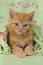 OPEN FEMALE MALE HAPPY BIRTHDAY GREETING CARD 7"X5" GINGER KITTEN