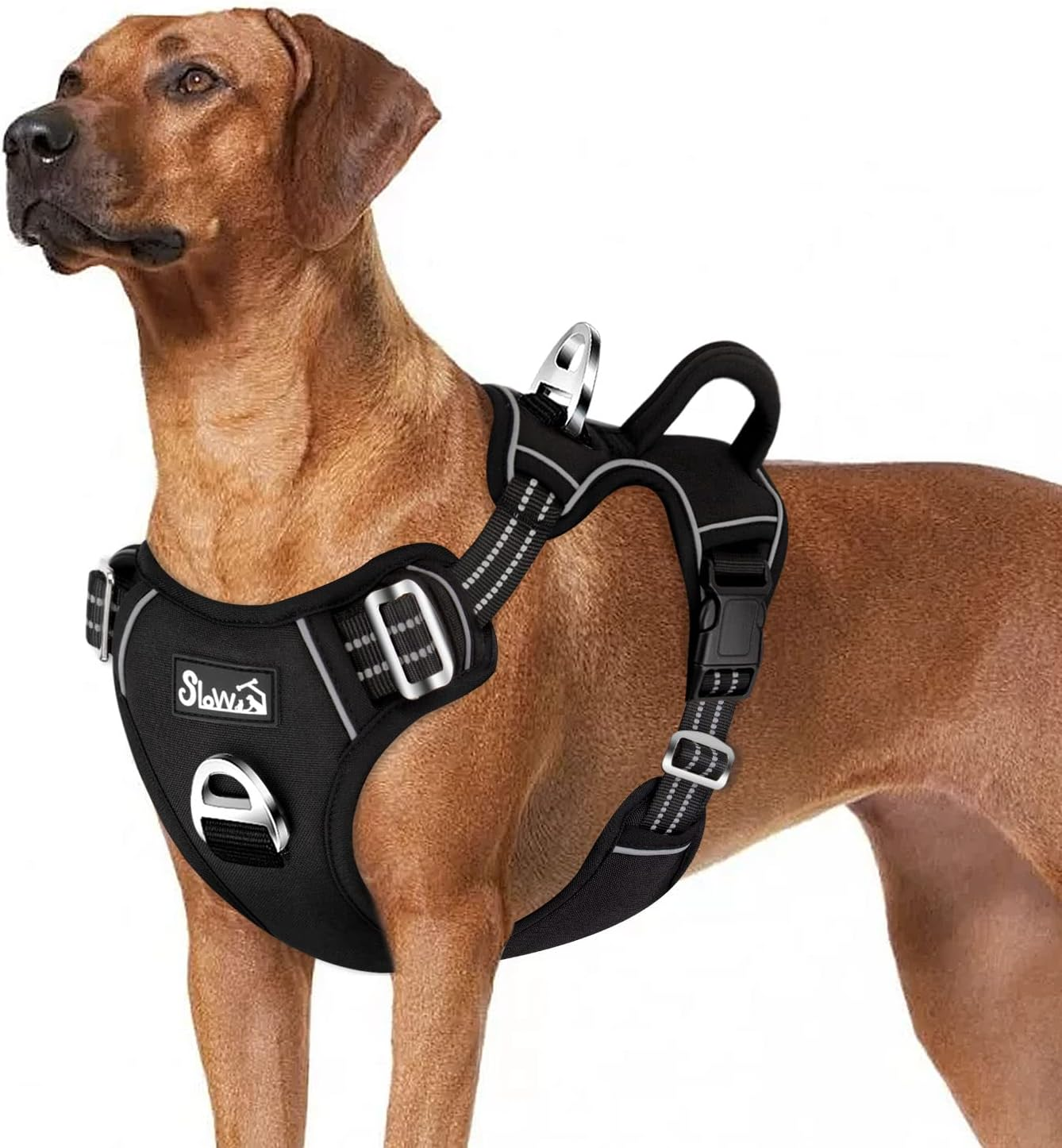 Dog Harness Large Dog, anti Pull Adjustable Heavy Duty Pet Vest with 2 Clips, Ea