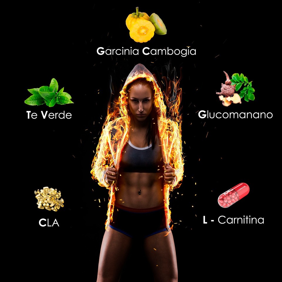Quemagrasas con Garcinia Cambogia + LCarnitina + CLA + + Té Verde. eBay