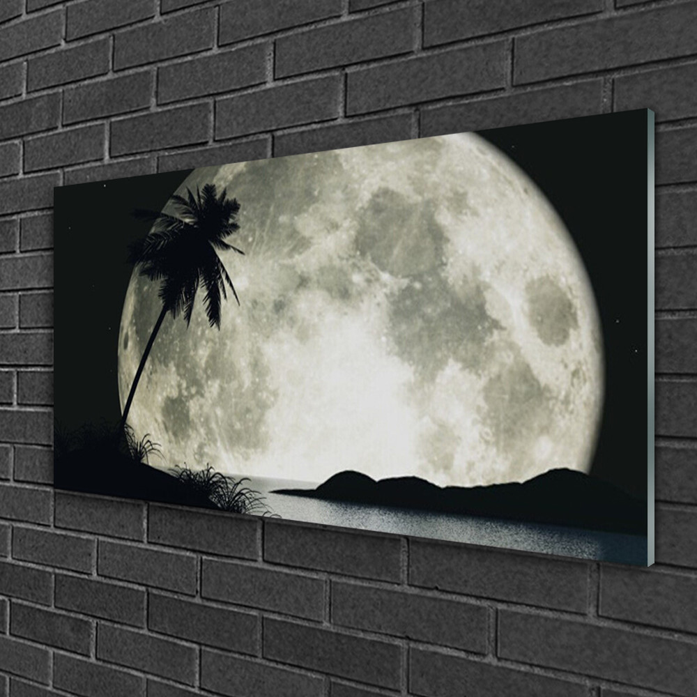 Impression sur verre salon Tulup tableau panoramique lune et palmiers de 100x50cm