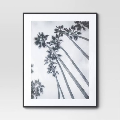 22'' x 28'' Matted to 18'' x 24'' Elevated Aluminum Poster Frame
