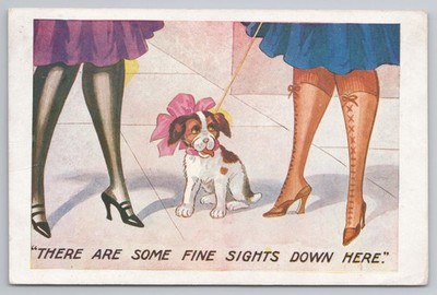 Comic Postkarte ''Feine Sehenswürdigkeiten hier unten'' Hundestrümpfe gewagt 1920
