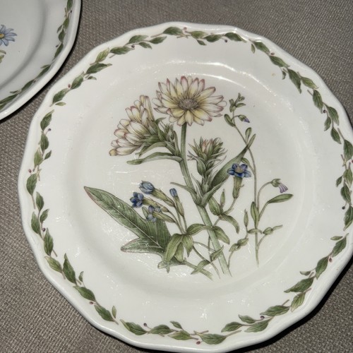 NORITAKE Casual Gourmet Salad Plate 8 3/4” Garden Floral Set Of 2 7940 7 / 10 - Picture 4 of 6