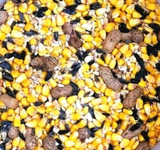 SQUIRREL & CRITTER BIRD SEED FOOD FEED Corn Black Oil Sunflower Peanuts Nuts