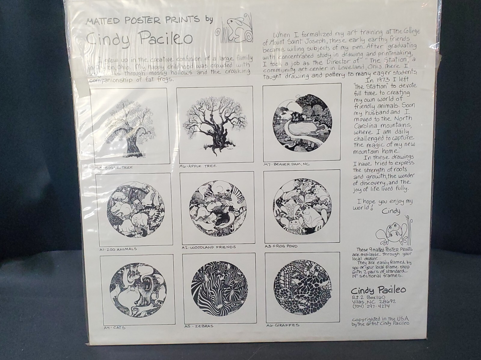 Picture 5 of 8