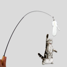 Bird feather wand cat toy pole toys kitten ferret pull apart w/wood Handle 66cm