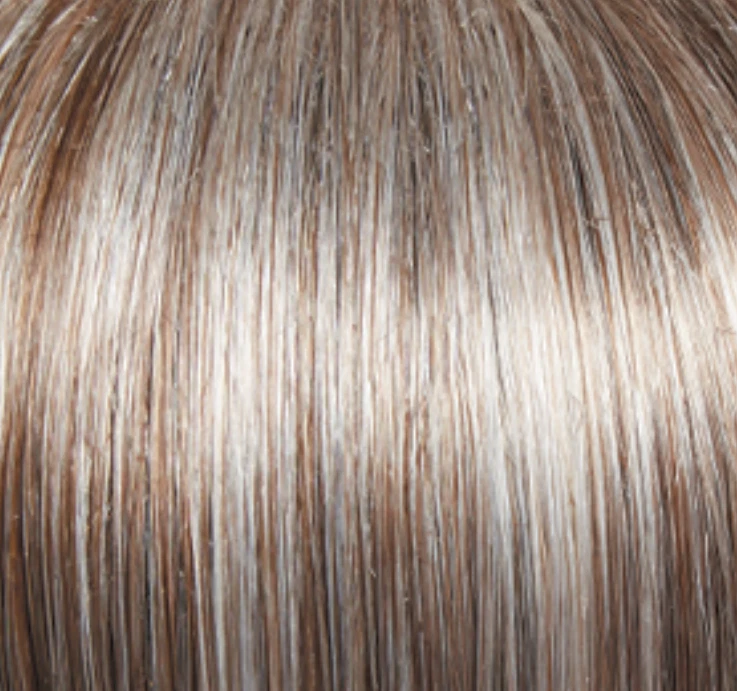 Color de pelo Eva Gabor Top perfecto natural GL 38-48 HUMO AZUCARADO Foto 2 de 3