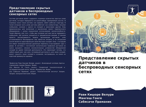 Predstawlenie Skrytyh Datchikow W Besprowodnyh Sensornyh Setqh Veluri (U. A.)-image
