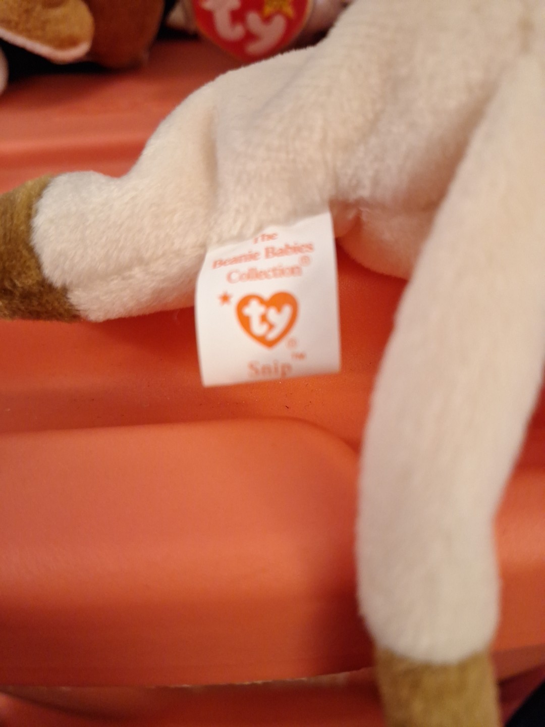 Bild 11 von 13