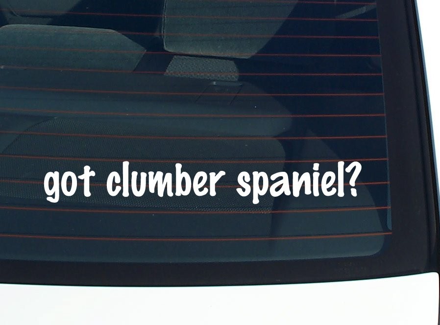 Got a Clumber Spaniel Funny Car Decal Bumper Sticker Vinyl Window