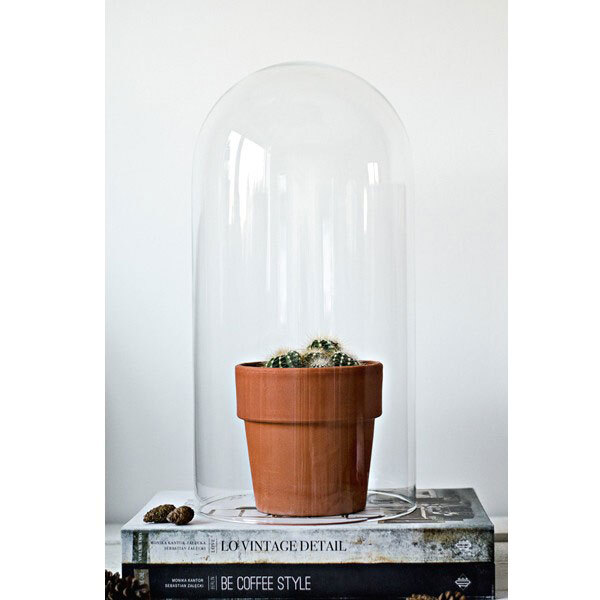 Mouth Blown Clear Glass Circular Display Dome Cloche Bell H:40x20 cm