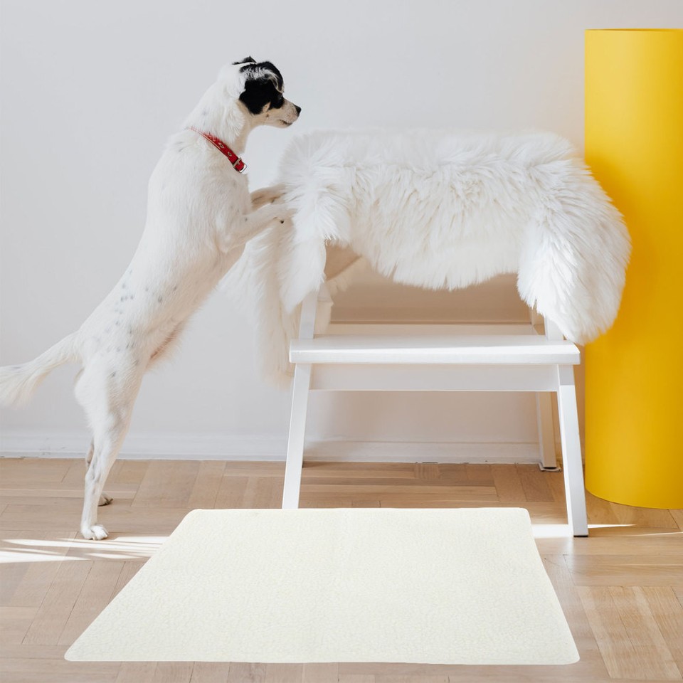 Selfheating Cat and Dog Blanket Seal Warm Mat Thermal Bed Outdoor eBay