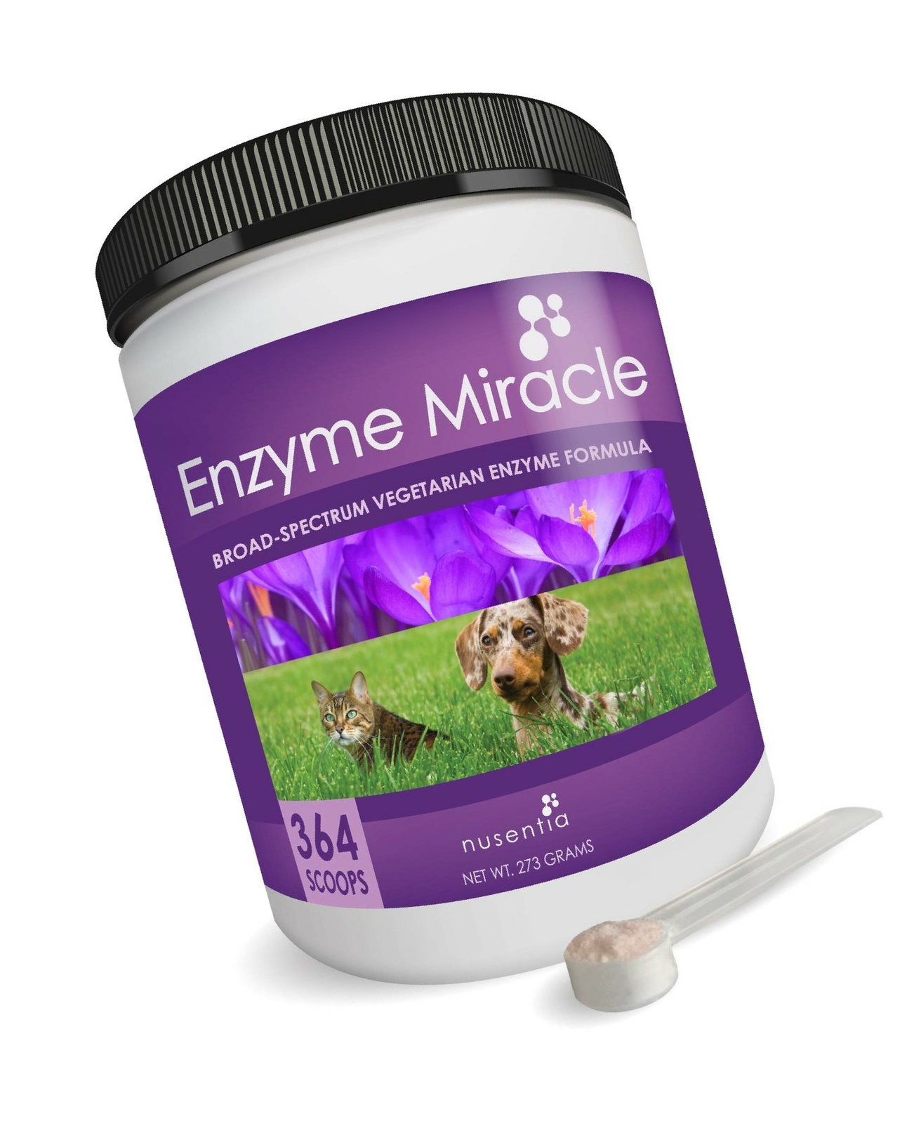 What Food Has Enzymes For Dogs
