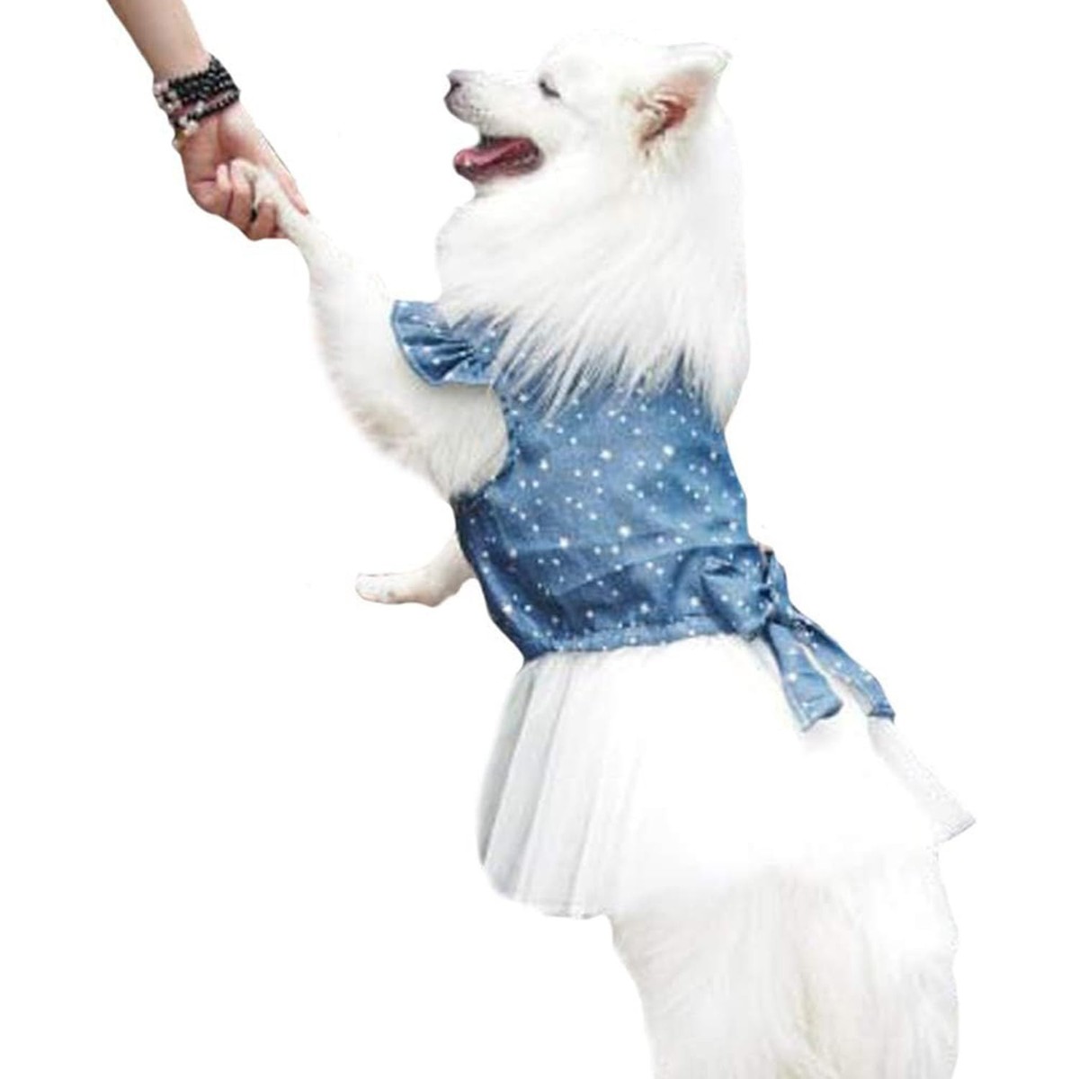 Polka Dot Big Large Dog Princess Dress Tutu Skirt Golden Retriever Pitbull  Su... | eBay