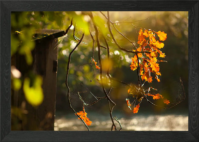 Herbstblätter und Spinnnetze gerahmtes Wandbild Poster Leinwanddruck Bild